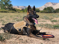 Service Dog K9 Training Vest Tactical Dog Harness and Leash Sets For Dogs