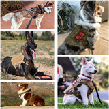 Service Dog K9 Training Vest Tactical Dog Harness and Leash Sets For Dogs