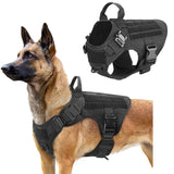 Tactical K9 Molle Training Vest