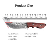 Damascus Etched Pattern Stainless Steel Forged Knife